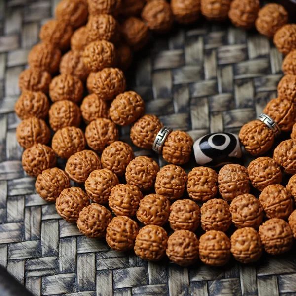 Dragon Vein Exploding Texture Rudraksha 108 Mala Beads Bracelet with Alxa Agate Accents - Image 4